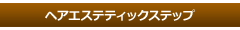 sec2_image